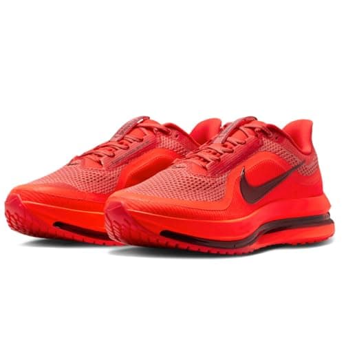Nike Pegasus Premium